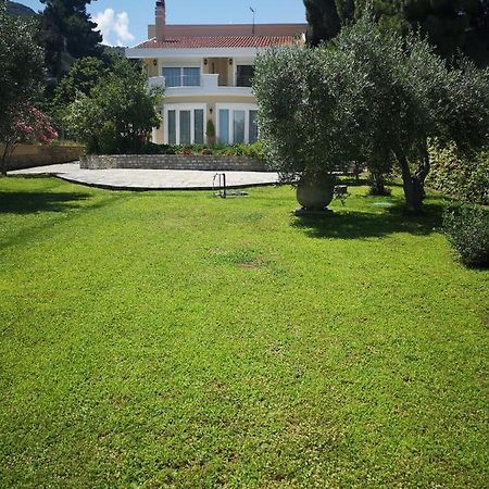 Villa Vasiliki PalaiónTsiflíkion Zewnętrze zdjęcie