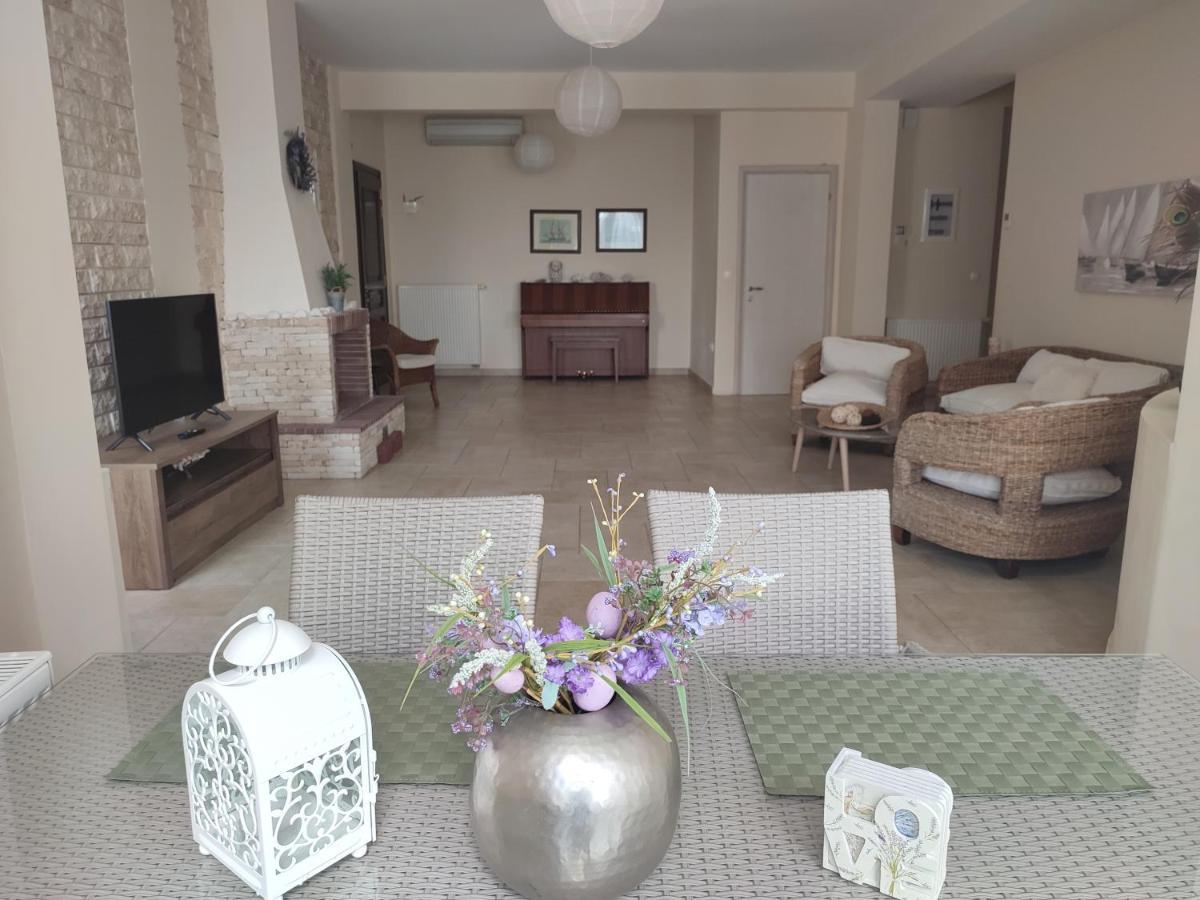 Villa Vasiliki PalaiónTsiflíkion Zewnętrze zdjęcie
