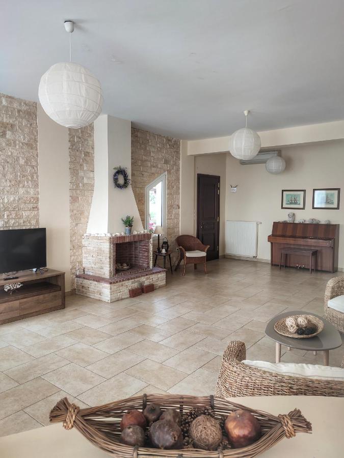 Villa Vasiliki PalaiónTsiflíkion Zewnętrze zdjęcie