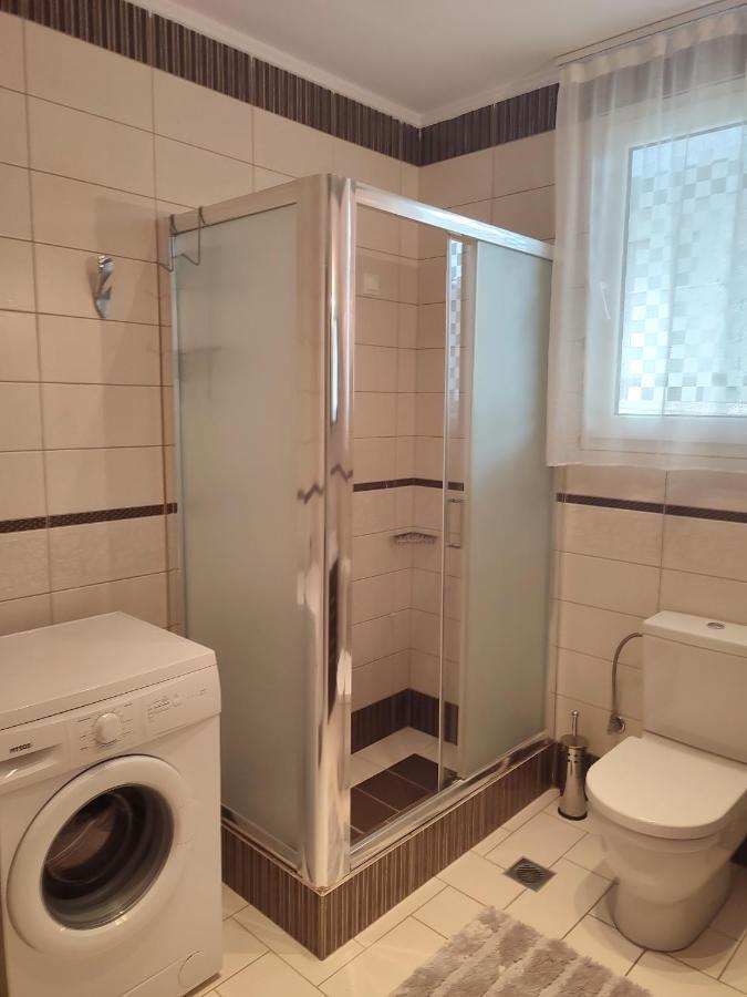 Villa Vasiliki PalaiónTsiflíkion Zewnętrze zdjęcie