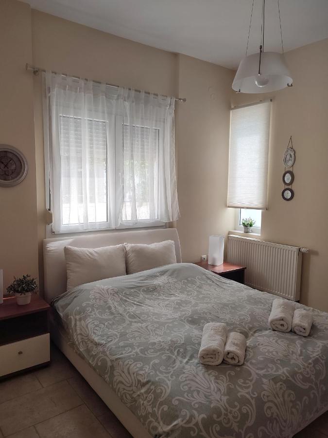 Villa Vasiliki PalaiónTsiflíkion Zewnętrze zdjęcie