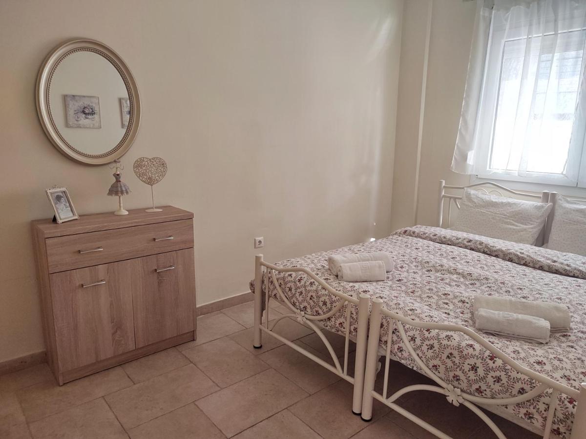 Villa Vasiliki PalaiónTsiflíkion Zewnętrze zdjęcie