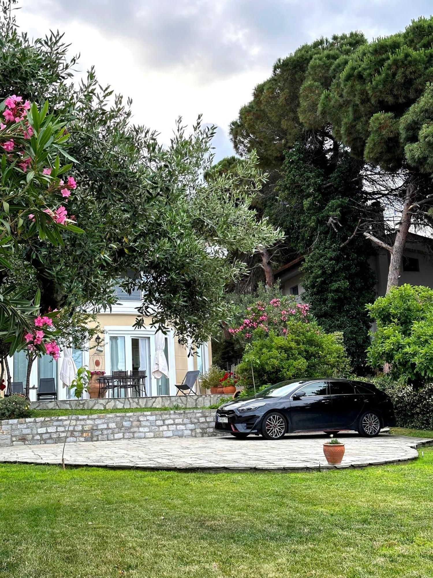 Villa Vasiliki PalaiónTsiflíkion Zewnętrze zdjęcie